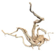 W.Y.S.I.W.Y.G.- 612 - Large Piece of Spiderwood | Substrates & Hardscape | Largest Tropical Fish Selection at Your Local Fish Store