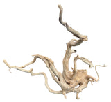 W.Y.S.I.W.Y.G.- 612 - Large Piece of Spiderwood | Substrates & Hardscape | Largest Tropical Fish Selection at Your Local Fish Store