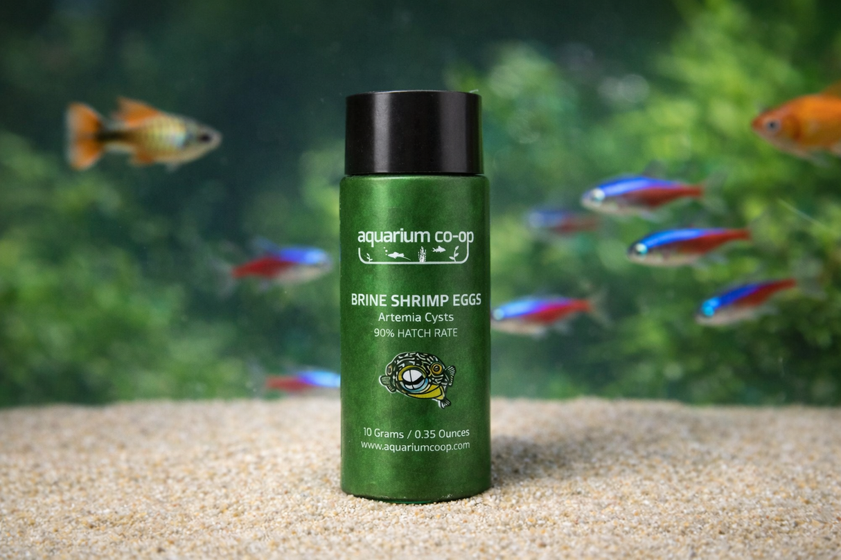 Aquarium Co-Op Brine Shrimp Eggs