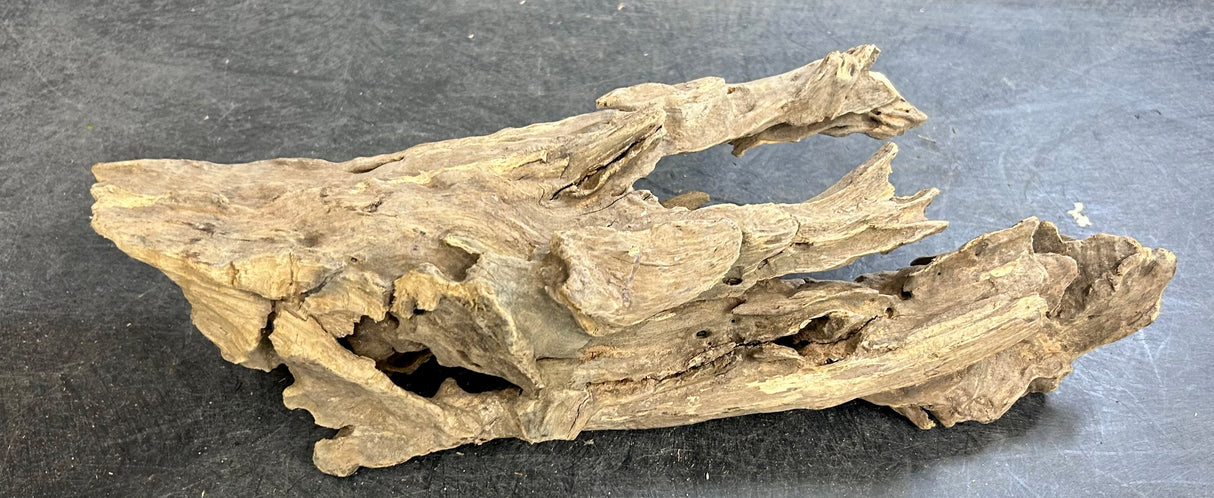 W.Y.S.I.W.Y.G.- 215  - Texture / Shrimp Driftwood