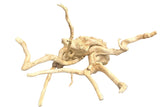 Large Piece of Spiderwood