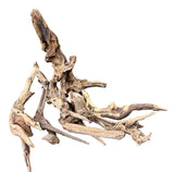 Malaysian Mangrove Sinking Driftwood
