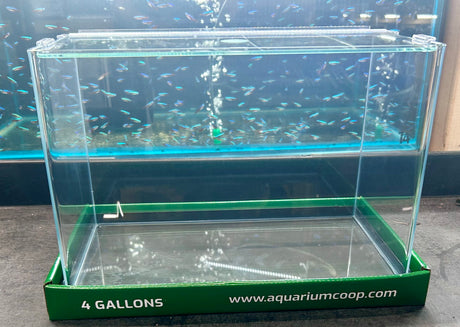 Aquarium Co-Op Curved Front Glass Aquarium