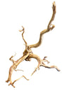  Large Piece of Spiderwood