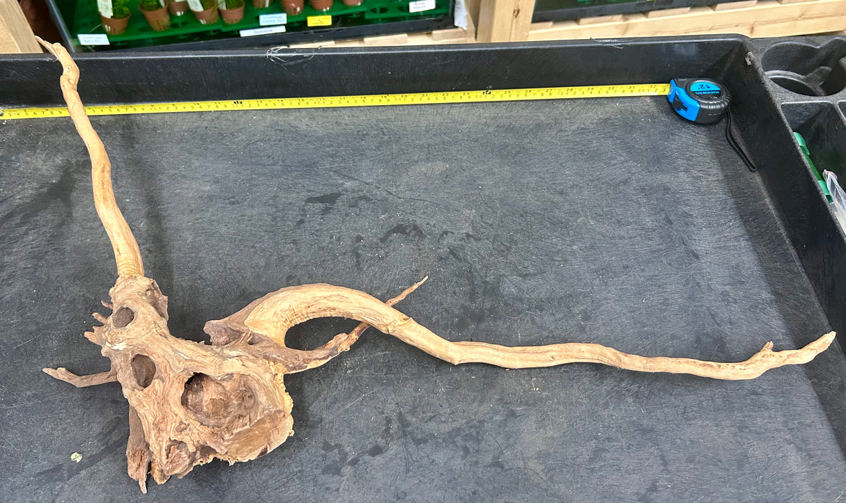 W.Y.S.I.W.Y.G.- 425 - Malaysian Mangrove Wood