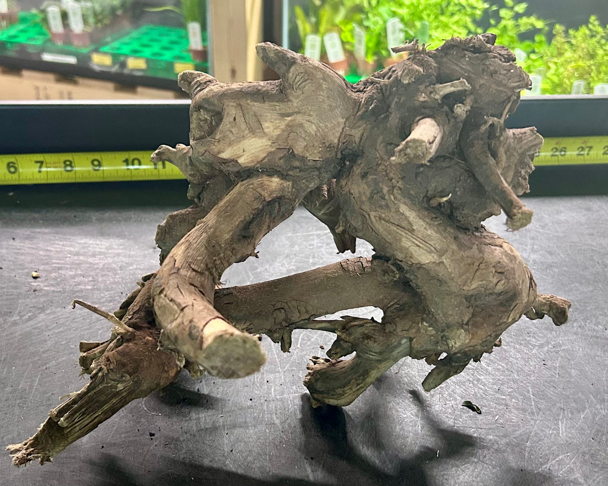 W.Y.S.I.W.Y.G.- 402 - Malaysian Mangrove Wood