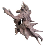 Malaysian Mangrove Sinking Driftwood