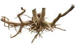 X Large Piece of Spiderwood