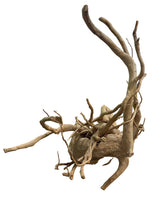  Large Piece of Spiderwood