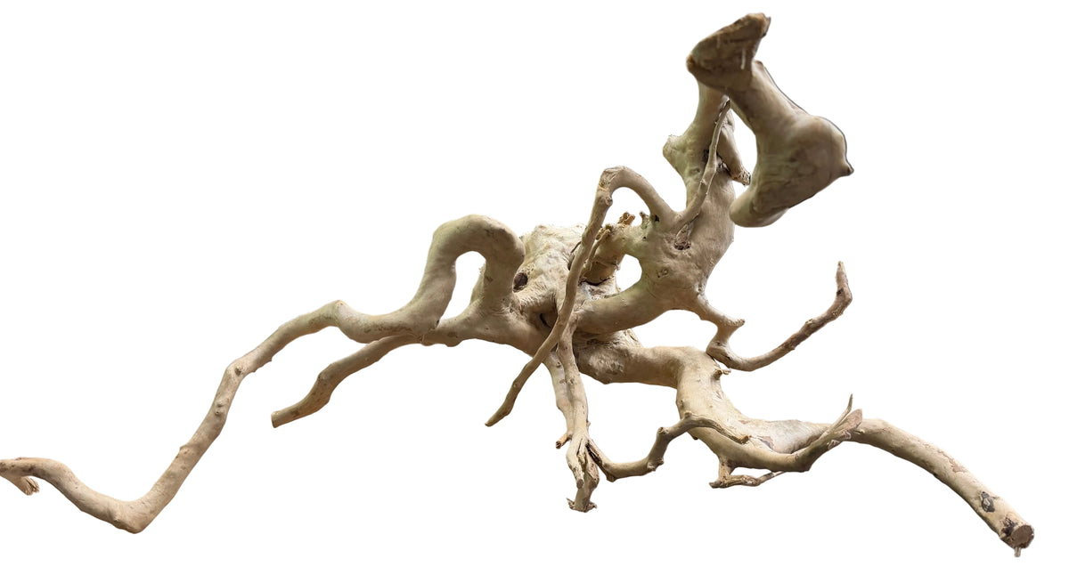 W.Y.S.I.W.Y.G.- 611  - XX Large Piece of Spiderwood | Substrates & Hardscape | Largest Tropical Fish Selection at Your Local Fish Store
