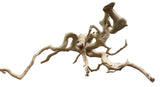W.Y.S.I.W.Y.G.- 611  - XX Large Piece of Spiderwood | Substrates & Hardscape | Largest Tropical Fish Selection at Your Local Fish Store
