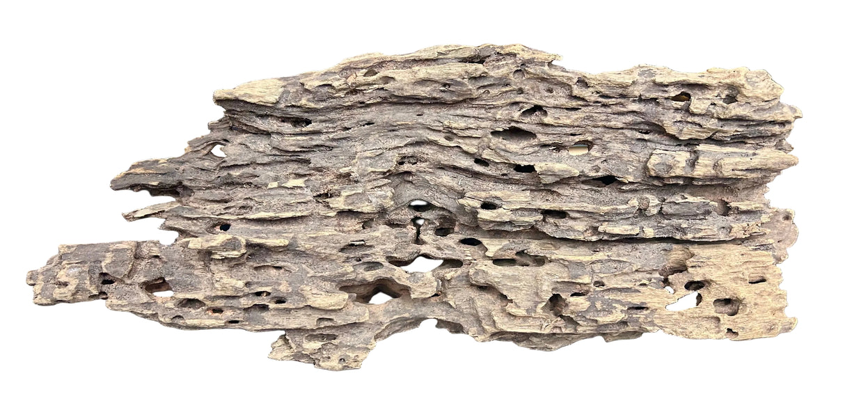 Texture / Shrimp Driftwood