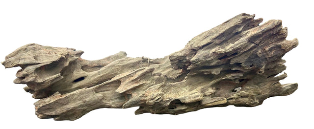 Texture / Shrimp Driftwood