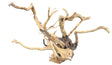  Large Piece of Spiderwood