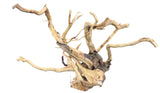  Large Piece of Spiderwood