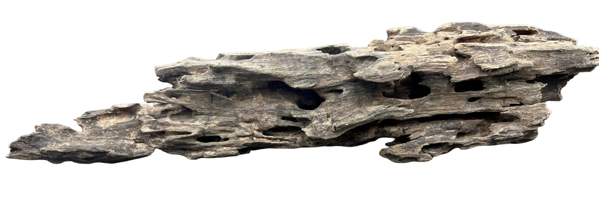 Texture / Shrimp Driftwood