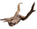 Malaysian Mangrove Wood