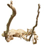 Large Piece of Spiderwood