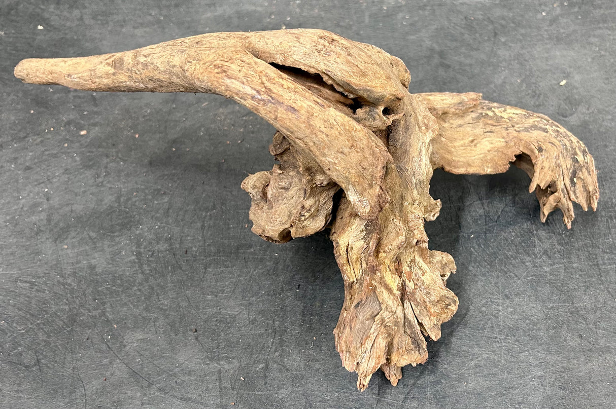 W.Y.S.I.W.Y.G.- 2005 - Malaysian Sinking Driftwood  Wood