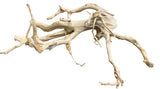 Large Piece of Spiderwood
