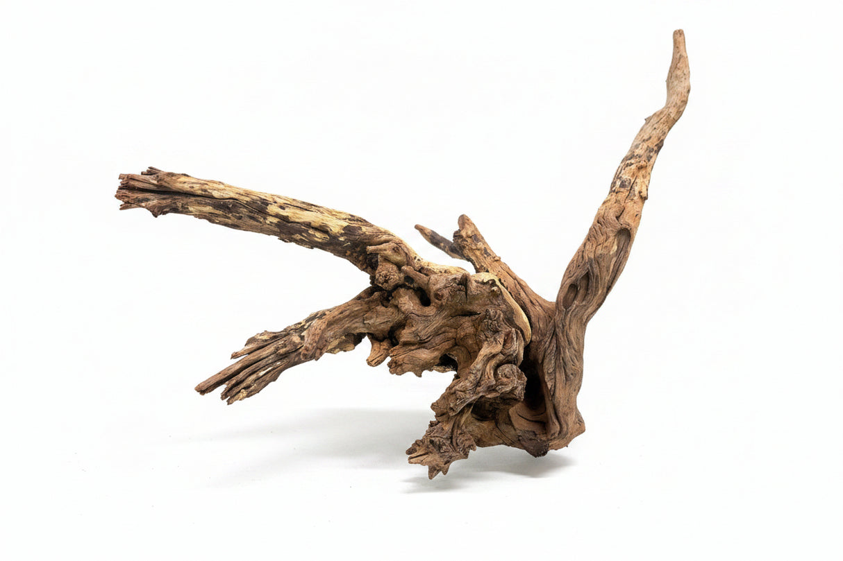 Malaysian Mangrove Wood