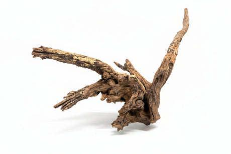 Malaysian Mangrove Wood