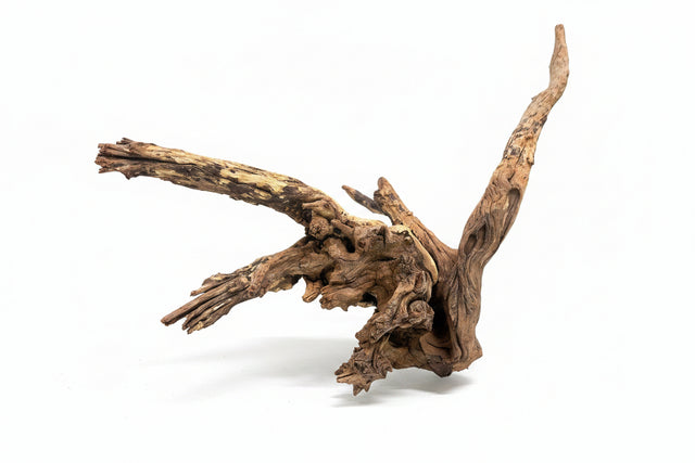 Malaysian Mangrove Wood
