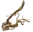 Large Piece of Spiderwood