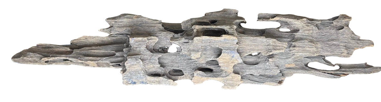 Texture / Shrimp Driftwood