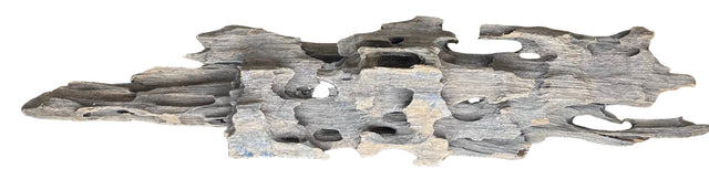Texture / Shrimp Driftwood