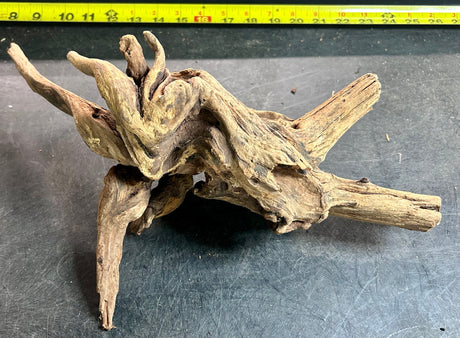 W.Y.S.I.W.Y.G.- 407 - Malaysian Mangrove Wood