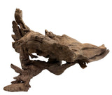 Malaysian Mangrove Sinking Driftwood