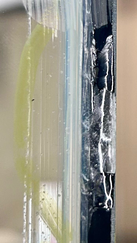 W.Y.S.I.W.Y.G. 1003 - Aqueon 55 Gallon Glass Aquarium