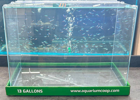 Aquarium Co-Op Curved Front Glass Aquarium