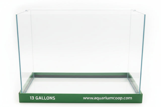 Aquarium Co-Op 13 Gallon Curved Front Glass Aquarium | Aquariums | Largest Tropical Fish Selection at Your Local Fish Store