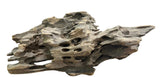 W.Y.S.I.W.Y.G.- 214  - Texture / Shrimp Driftwood | Substrates & Hardscape | Largest Tropical Fish Selection at Your Local Fish Store