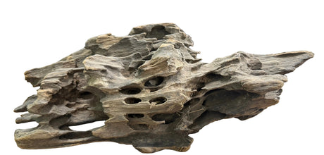 W.Y.S.I.W.Y.G.- 214  - Texture / Shrimp Driftwood | Substrates & Hardscape | Largest Tropical Fish Selection at Your Local Fish Store
