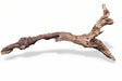  Malaysian Mangrove Wood