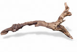  Malaysian Mangrove Wood