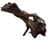 Malaysian Mangrove Sinking Driftwood