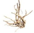  Large Piece of Spiderwood