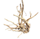  Large Piece of Spiderwood