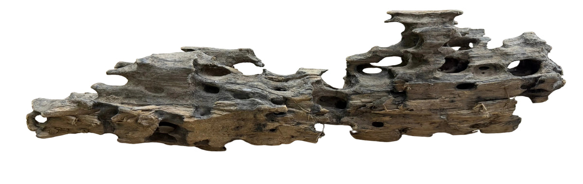  Texture / Shrimp Driftwood