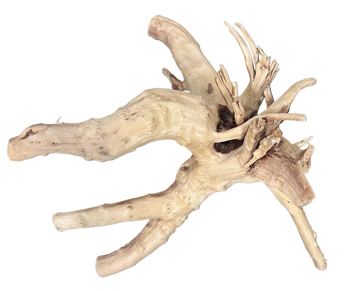 - Piece of Spiderwood