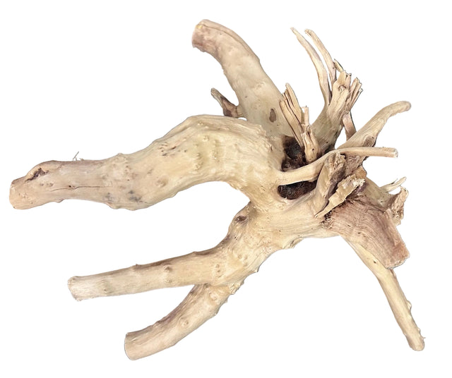 - Piece of Spiderwood