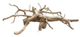 XX Large Spiderwood