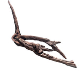 Malaysian Sinking Driftwood