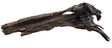 Malaysian Mangrove Sinking Driftwood