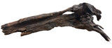 Malaysian Mangrove Sinking Driftwood