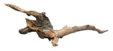  Malaysian Mangrove Sinking Driftwood